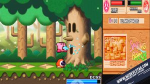 Kirby Super Star Ultra NDS 3